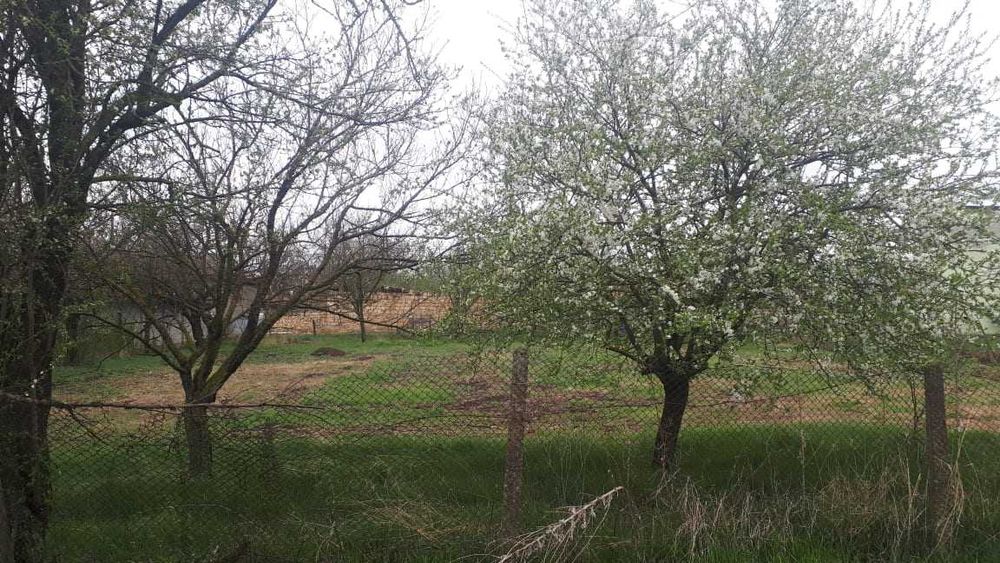 Продава се Парцел в Варна, Автогара - 1086 кв.м за 33 €/кв.м - Снимка #2