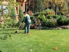 Косене на трева, почистване на дворове, терени, парцели от храсти и