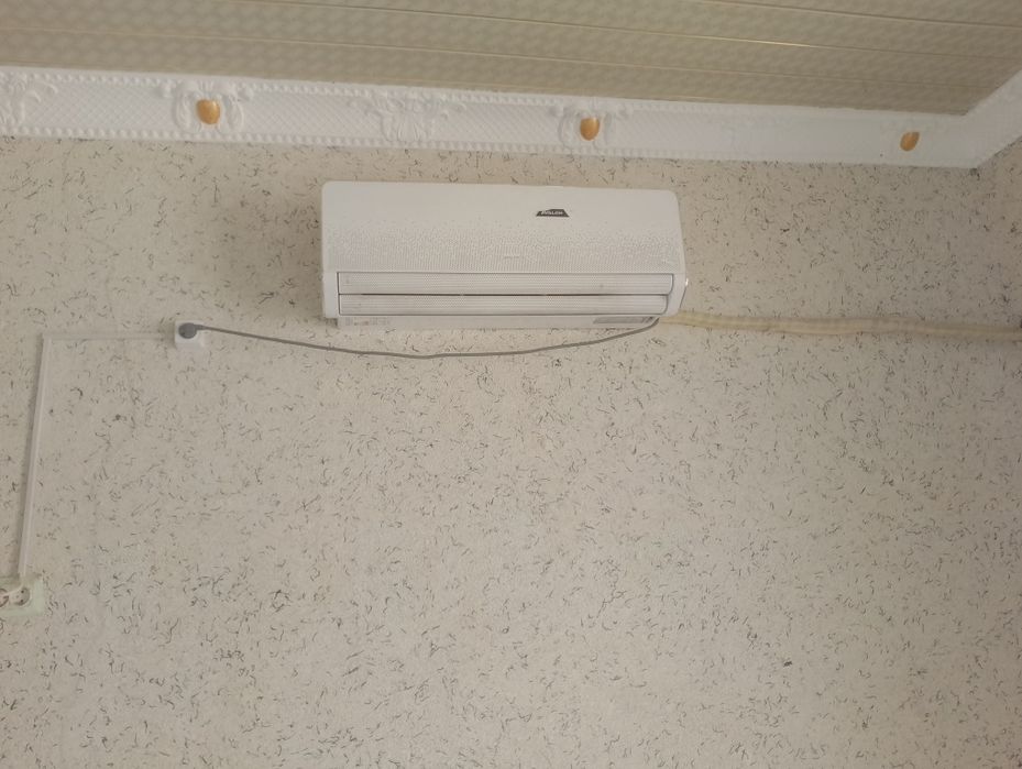 Kanesaner avalon
