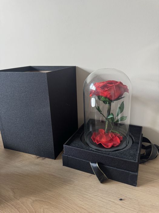 Вечна червена роза