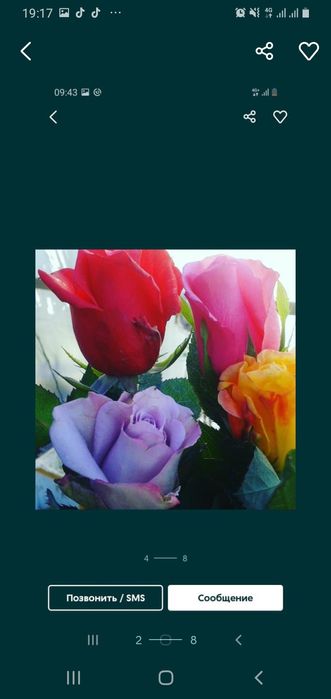 Розый бутонами и корнями