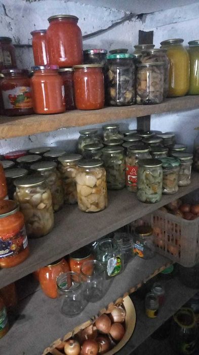 Продам маринованные грибы