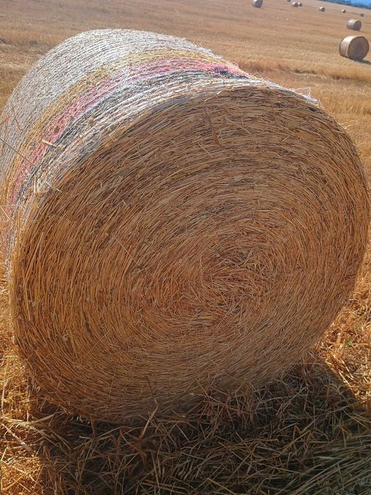 Рулонни бали ПРОСО със зърното