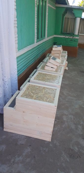 Vând lazi de stupi