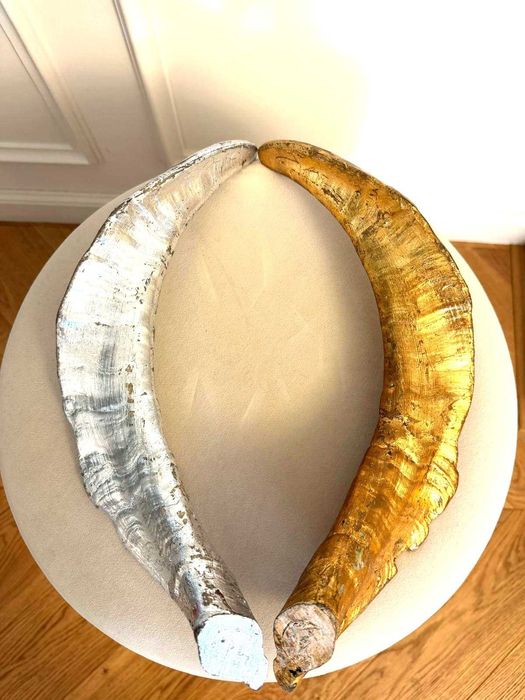 RAR ! Pereche de coarne autentice ovina/caprina decorative cu de aur și argint !