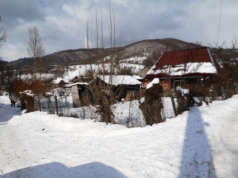 Teren  generos cu casuta