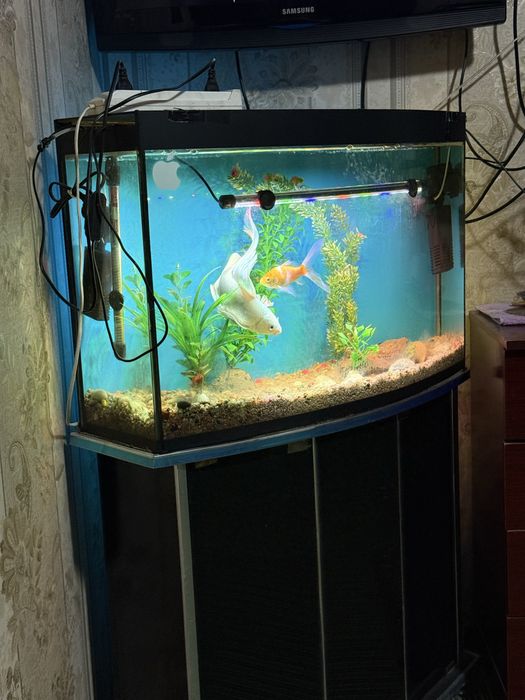 Аквариум с тумбой и полным комплектом