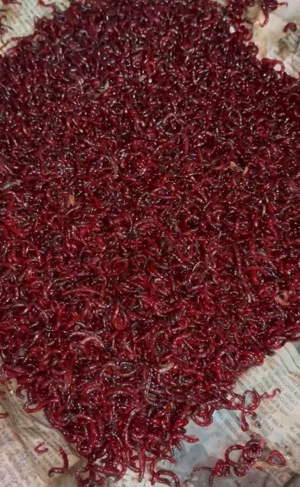 Барахолка рыбака