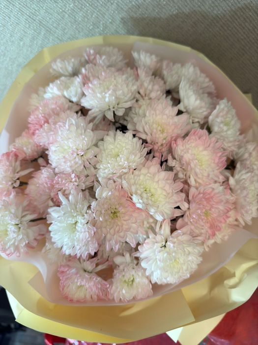 Продаю цветы. Город в Шымкенте