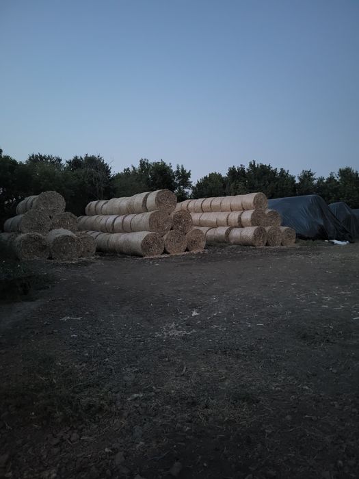 Baloti ciocani  lucerna  si paie 150/120