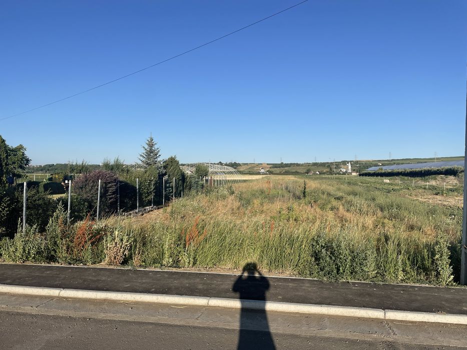 Teren 5700 mp pentru  constructii case in Jucu de Mijloc