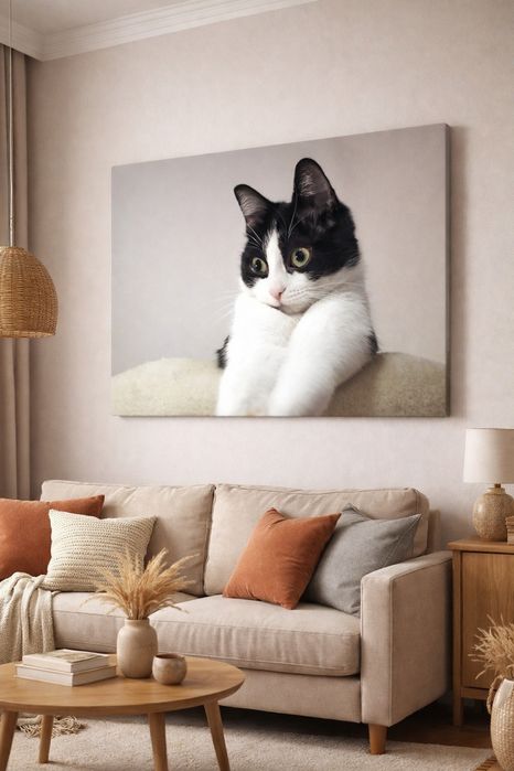 Фотограф за котки | Фото портрет на домашен любимец + канава