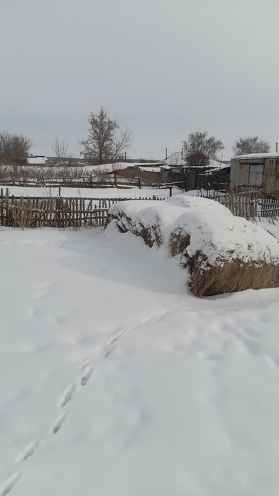 Продам сено тюки