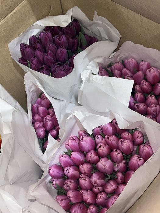 Тюльпаны в розницу