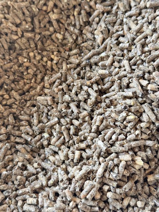 Кур-Несушка комбикорм