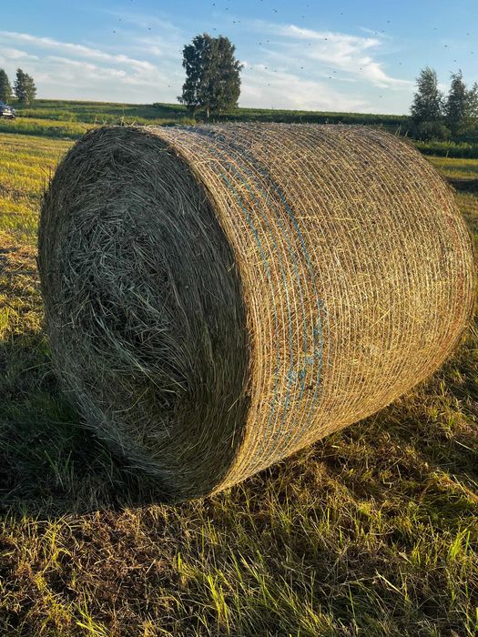 Продам сено в тюках