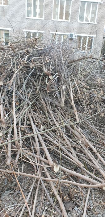 Отдам даром на дрова.