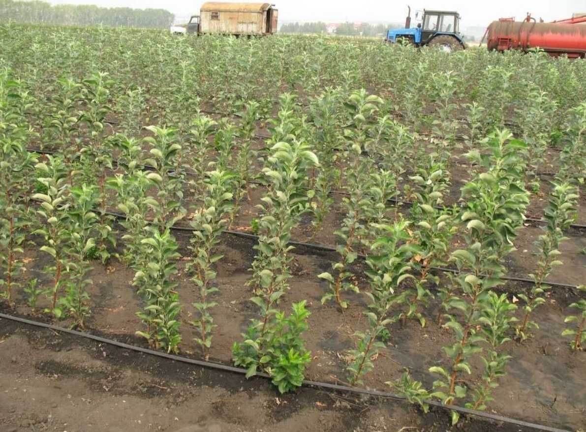 Копи точка ул плодопитомник 8 фото Копи точка ул плодопитомник 8 фото