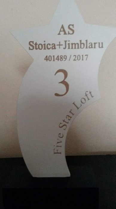 Porumbei voiajori