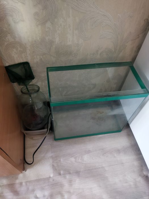 Продам аквариум с рыбками и растением