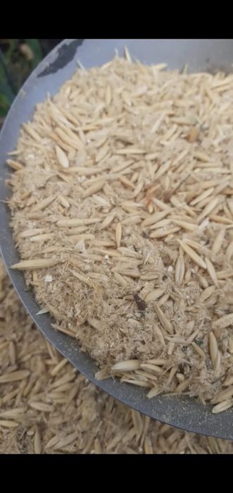 Отходы Отходы зерноотходы овсяные