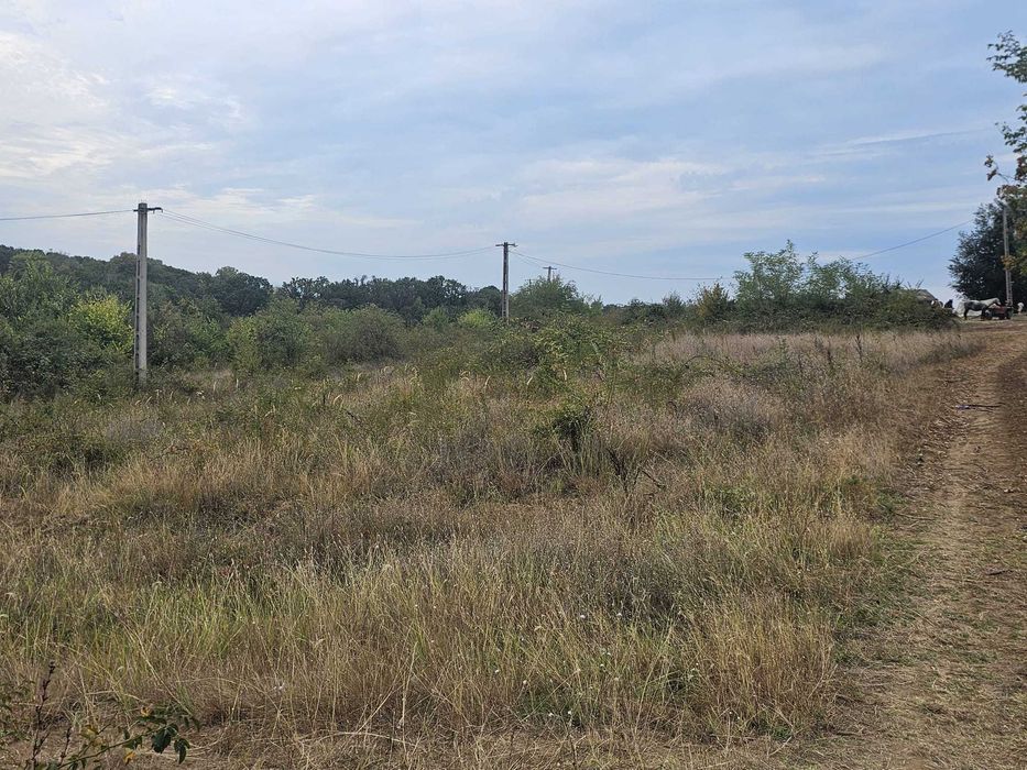 De vanzare doua terenuri zona Urlati-Valea Calugareasca Prahova