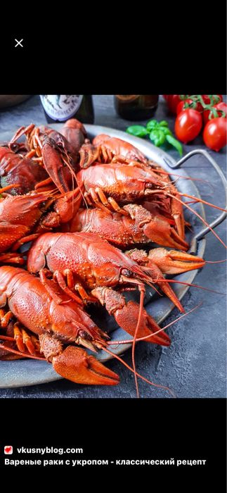 Живые и вареные раки