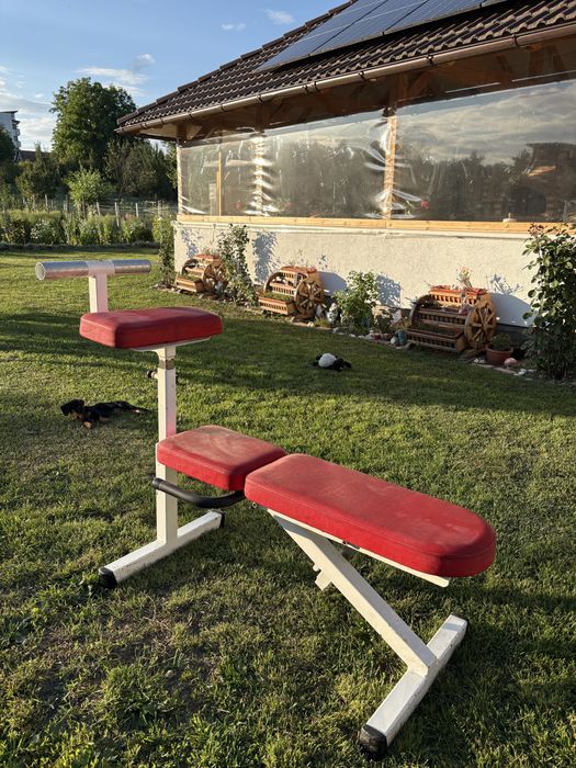Bancă profesională pentru abdomene (Sit-Up Bench) reglabilă – fitness
