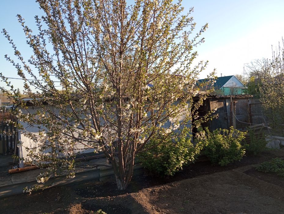 Срочно продам пол дома в центре города!