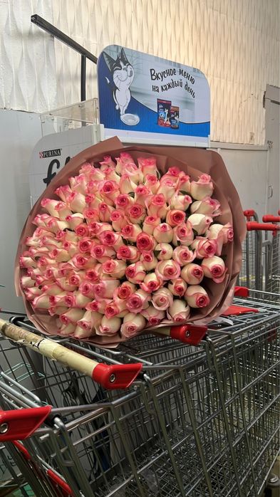 101 роза гүлі. Астана қаласы