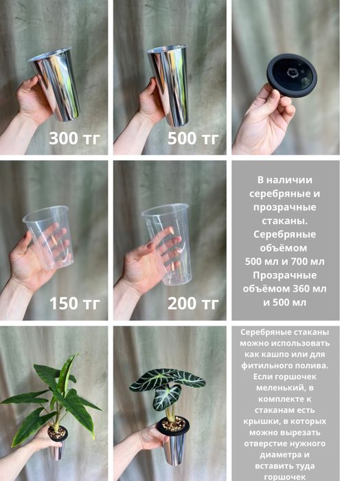 Стаканы для растений