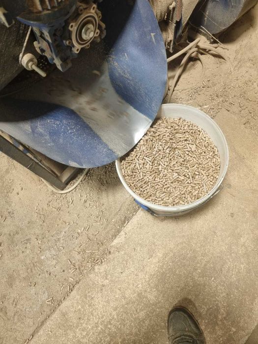 Vazare peleti din fag