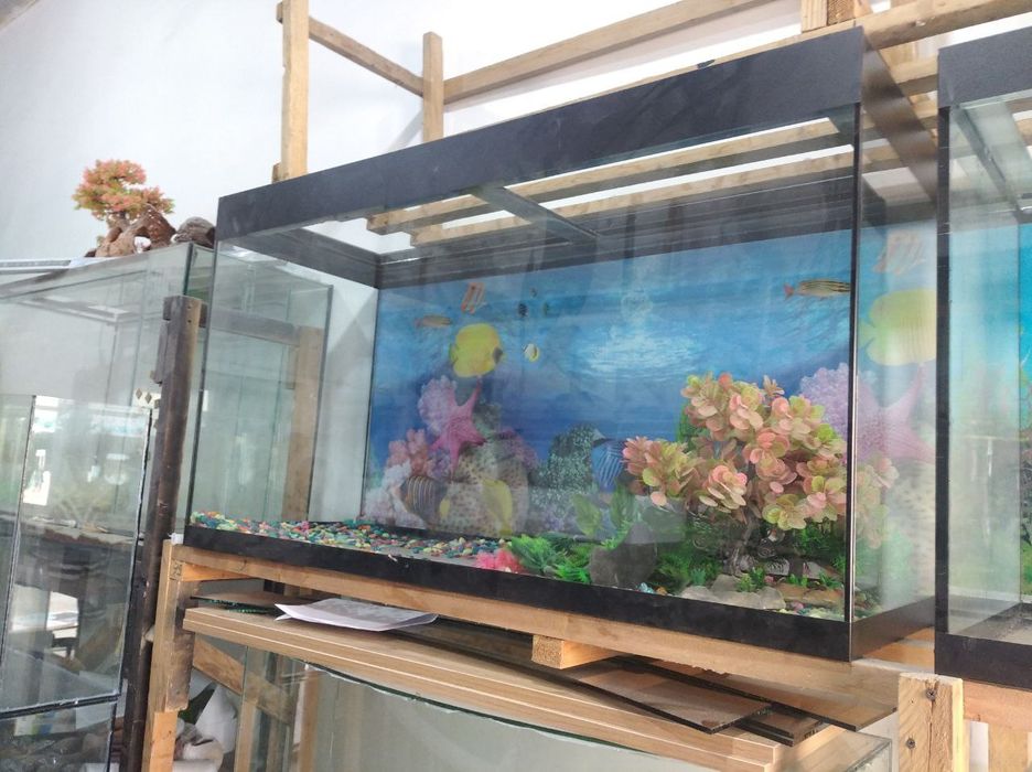 Аквариум разные вида
