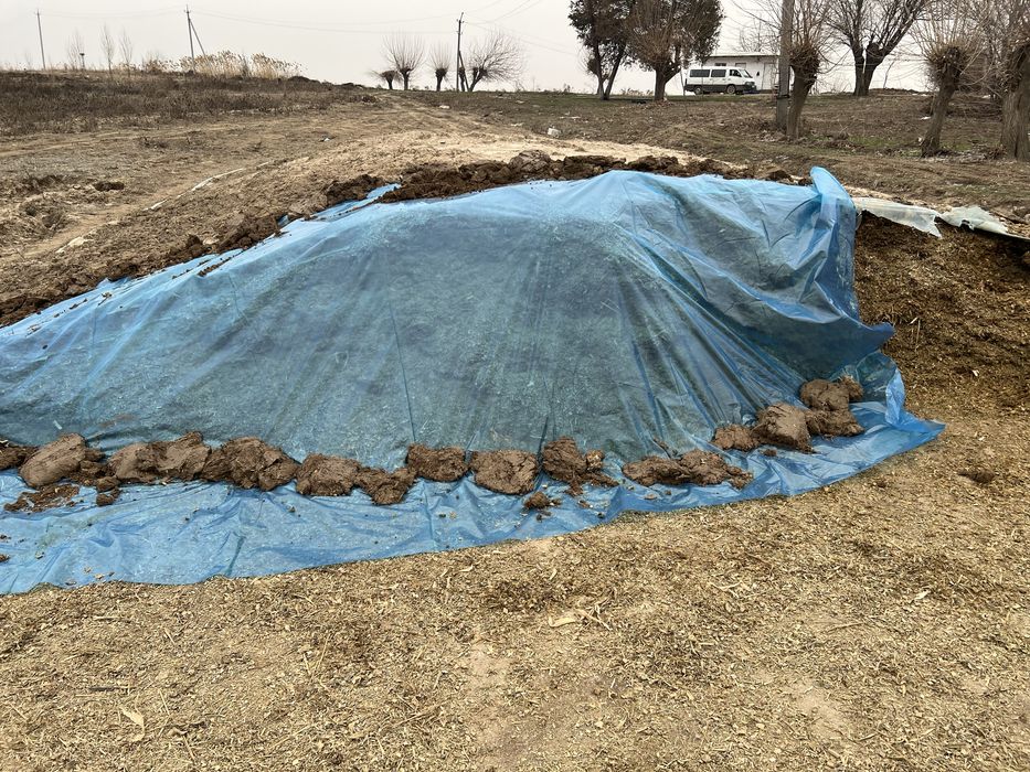 Selyoz mol yem 60 tonna