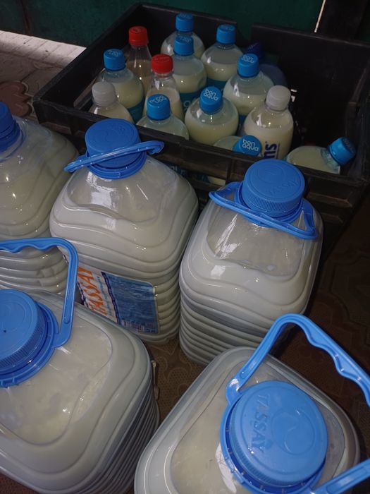 Сут молоко домашнее оптом