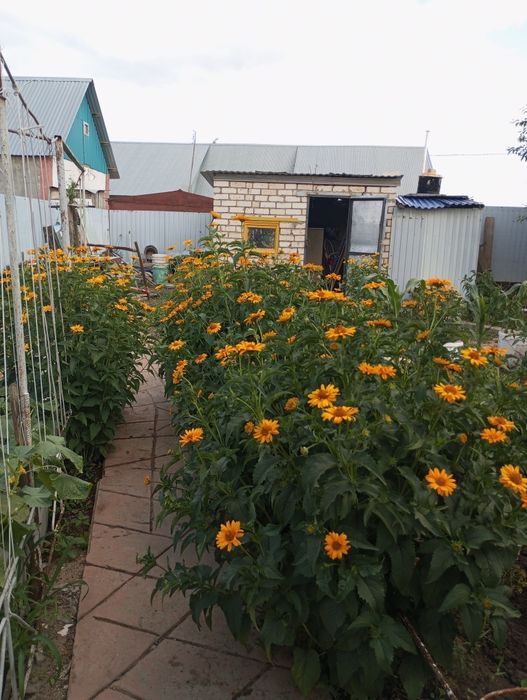 Продам частный дом .