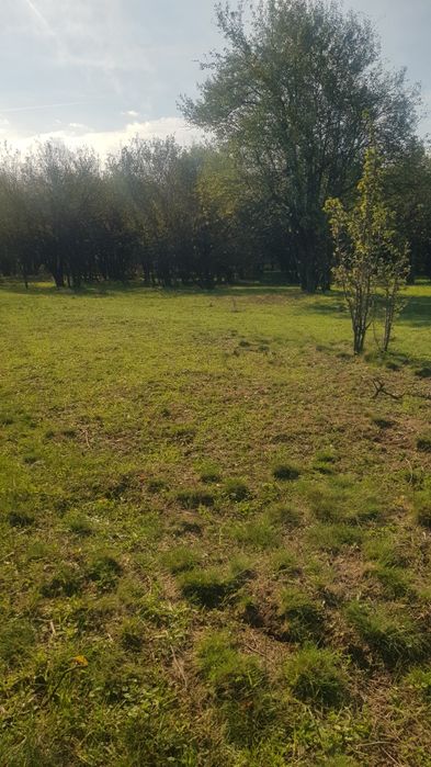 Продава се Парцел в Кюстендил, Бял камък - 4720 кв.м за 11 €/кв.м - Снимка #3