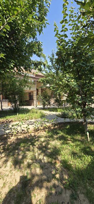 Дурмон цен.6,сот.6,хона.