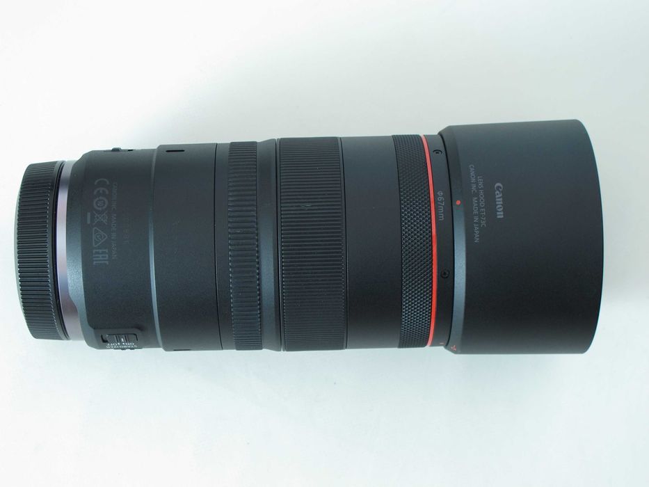 Canon R5; Canon RF 100mm f/2.8L Macro