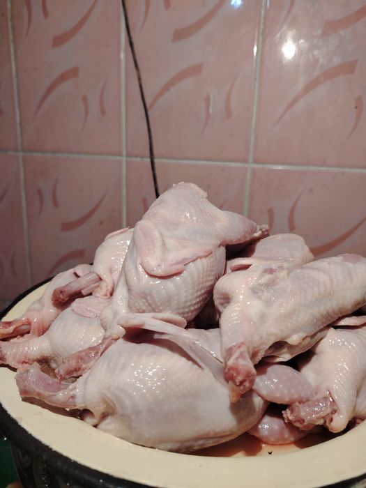 Перепелиное мясо, бөдене еті, перепелиные тушки