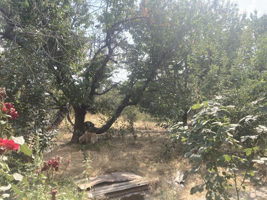 Кибрайда учаска Qibrayda xovli 10sotu joy