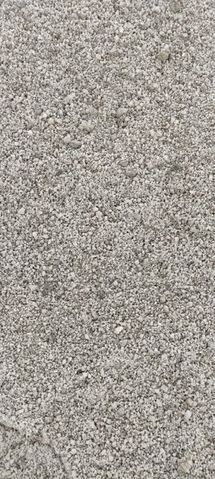 Соль лезунец, кормовая