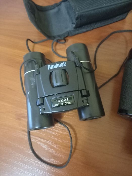 Бинокъл бинокъл..