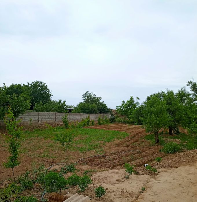 Салиобод м бахористон 1 -куча