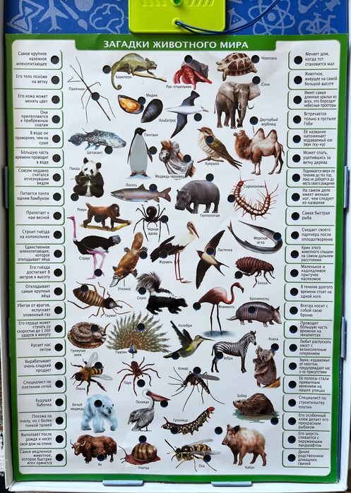 Игра для детей Conector Животный мир