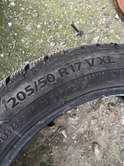205 50 r17 iarna