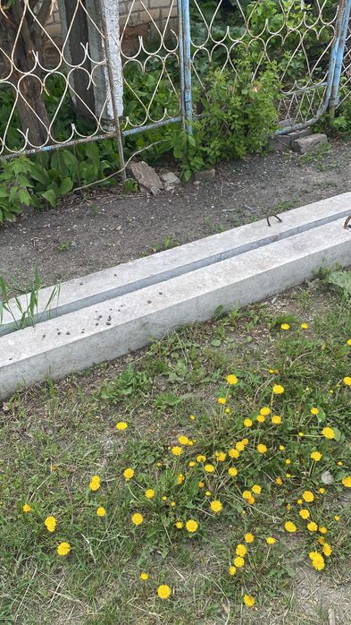 Продам Столбы СВ-95