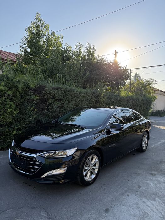 Malibu 2 Premier 2022