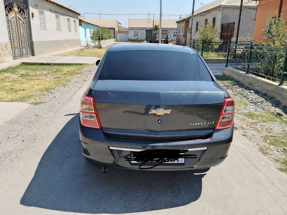 kobalt 2023 4-pozitsiya
