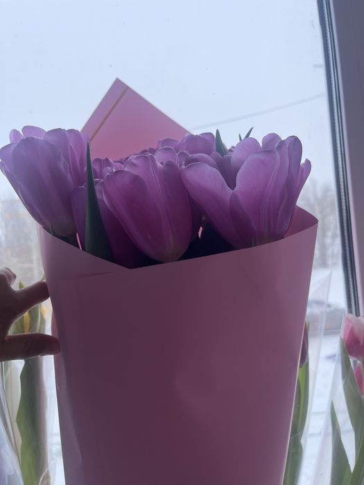 Продам букет красивых тюльпанов